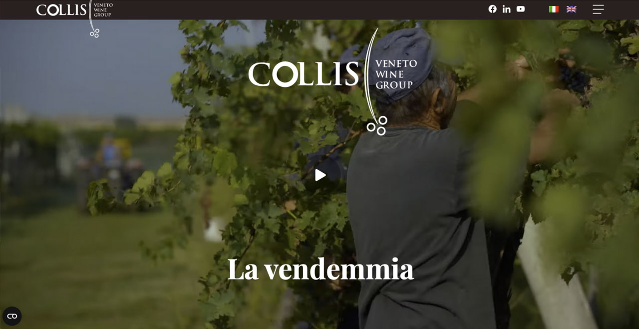 screenshot del sito web COLLIS